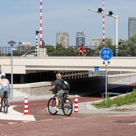 Trekvlietbrug 
